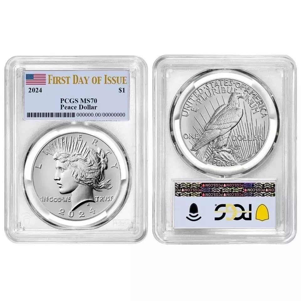 プラチナ貨　PCGS MS70 アメリカ 100ドル 1オンス プラチナイーグル 2006-W年 PCGS-MS70 | 地